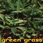 Images 14
