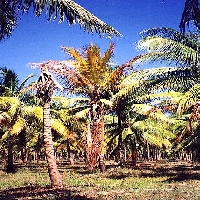 Images 17